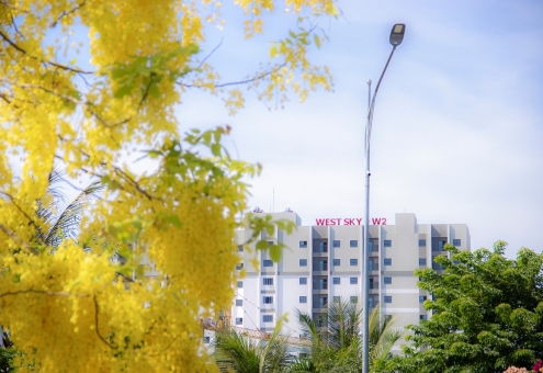 Có con đường mang tên hoa Hoàng Yến tại khu đô thị Ecogarden 