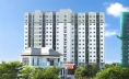 Những ngày nắng ấm cuối cùng trong năm