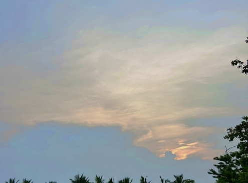 Hoàng hôn Ecogarden