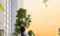 Chiều hoàng hôn bên West Sky - Ecogarden 